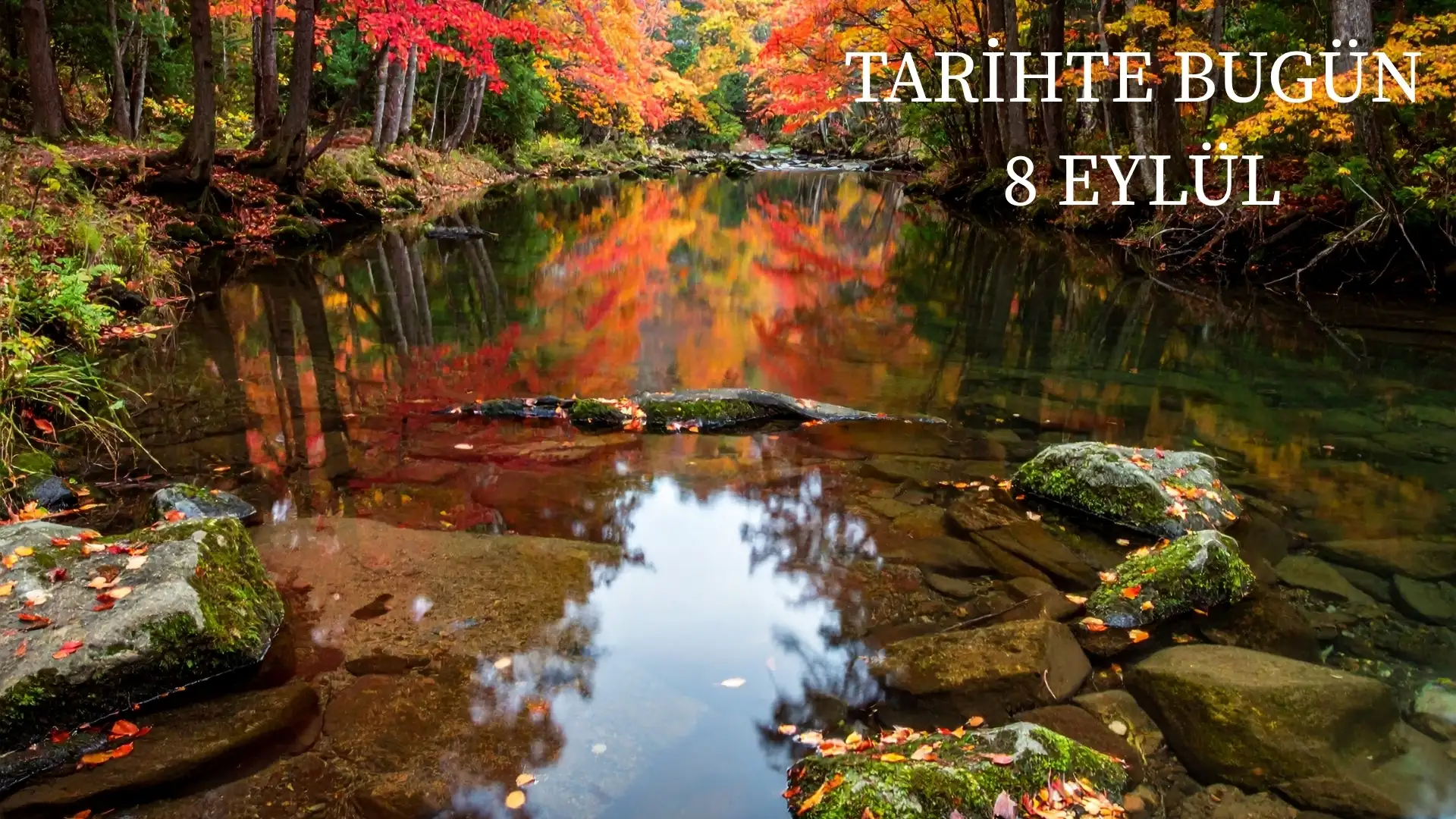 TARİHTE BUGÜN KÖŞESİ 8 EYLÜLDE TARİHTE NELER OLDU? 