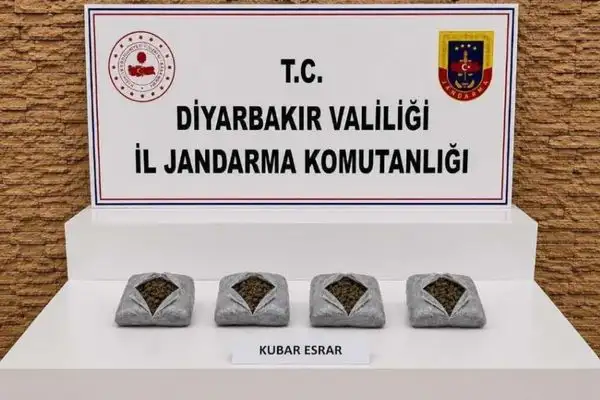 Diyarbakır’da uyuşturucu operasyonlarında 57 bin 702 kök kenevir ele geçirildi