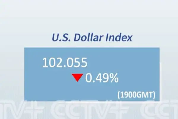 Dolar endeksi yüzde 0,49 geriledi