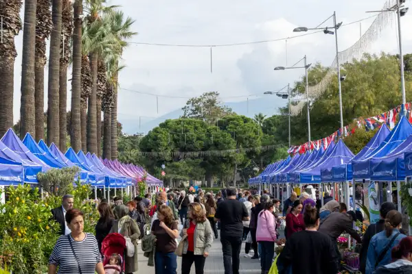 İzmir'de Balkon-Bahçe Bitkileri ve Bal Üreticileri Festivali başladı