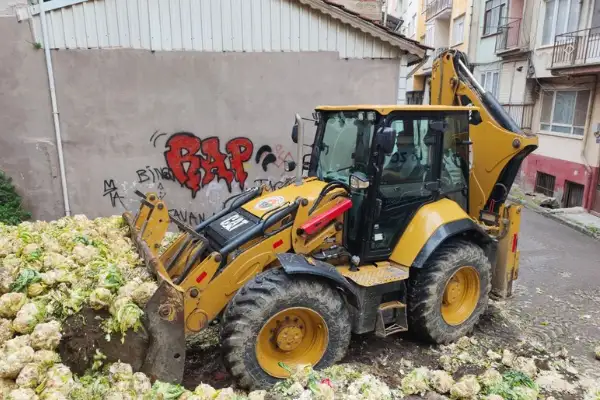 Gemlik’te 10 tondan fazla bozulmuş karnabahar toplandı