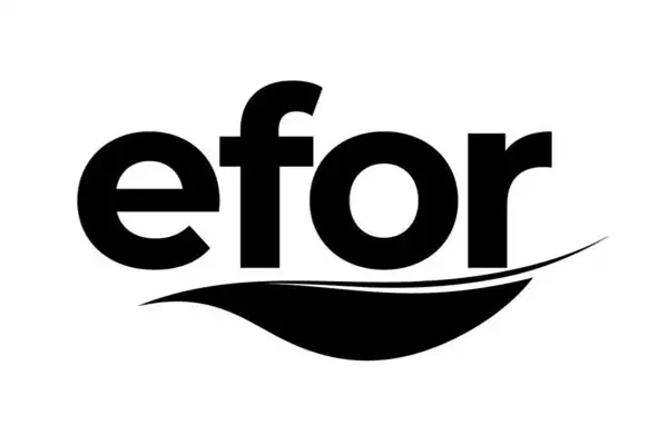 Efor Holding'in Efor Yatırım'daki pay alım limiti 5 milyar TL'ye yükseltildi