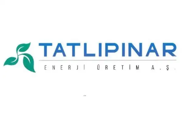 Tatlıpınar Enerji'nin TEİAŞ davası