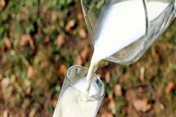 TÜİK: Ticari süt işletmelerince ağustosta 1 milyon 21 bin ton inek sütü toplandı