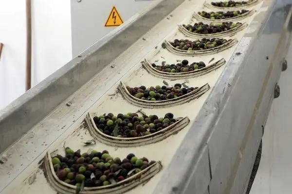 Mudanya’nın ödüllü zeytinyağı Çepni’de tanıtıldı