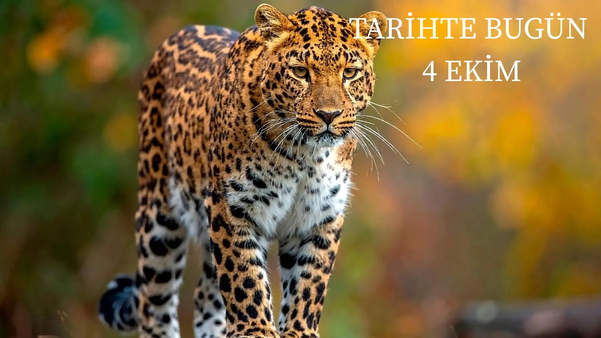 TARİHTE BUGÜN KÖŞESİ 4 EKİMDE TARİHTE NELER OLDU?