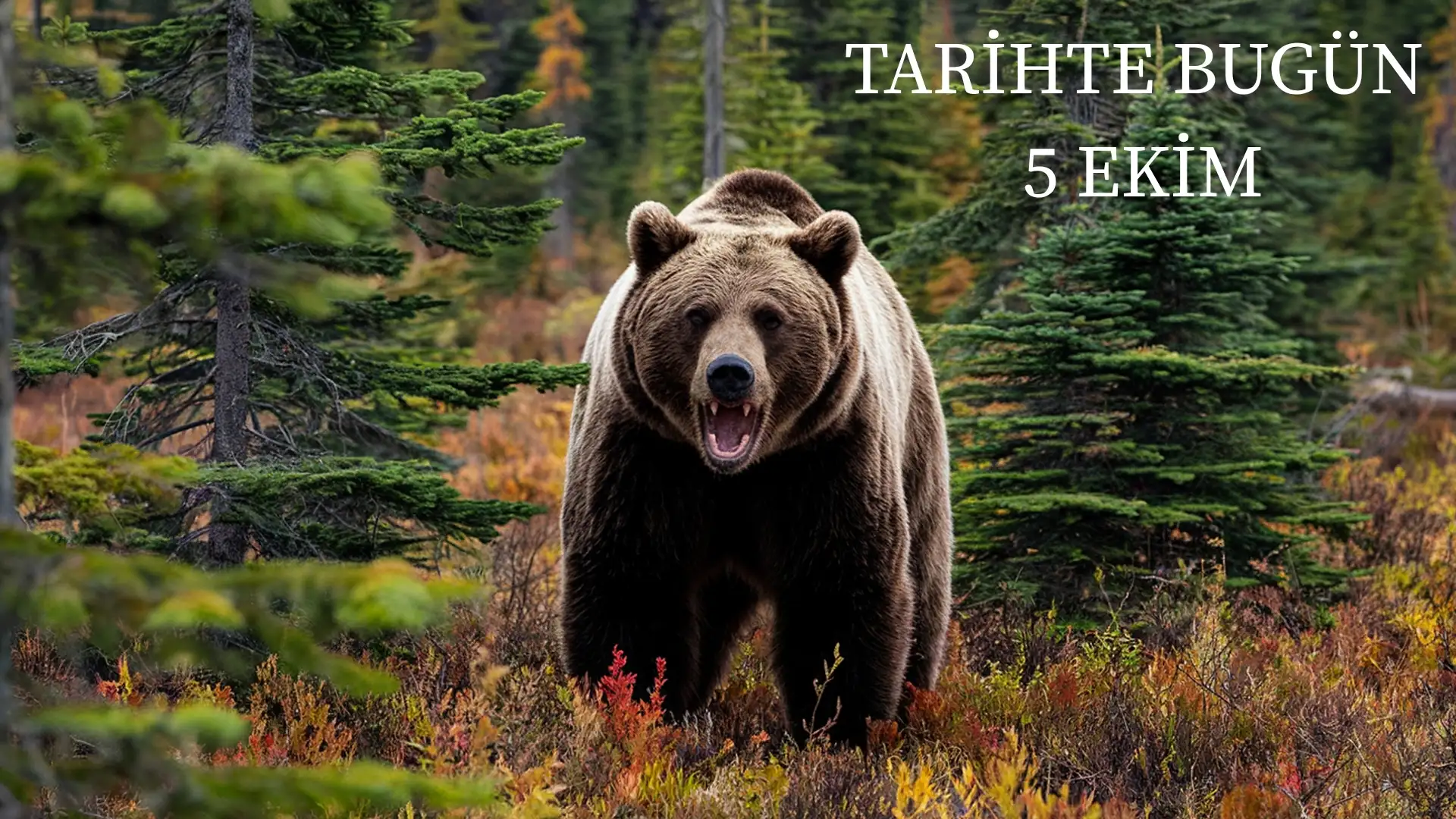 TARİHTE BUGÜN KÖŞESİ 5 EKİMDE TARİHTE NELER OLDU?