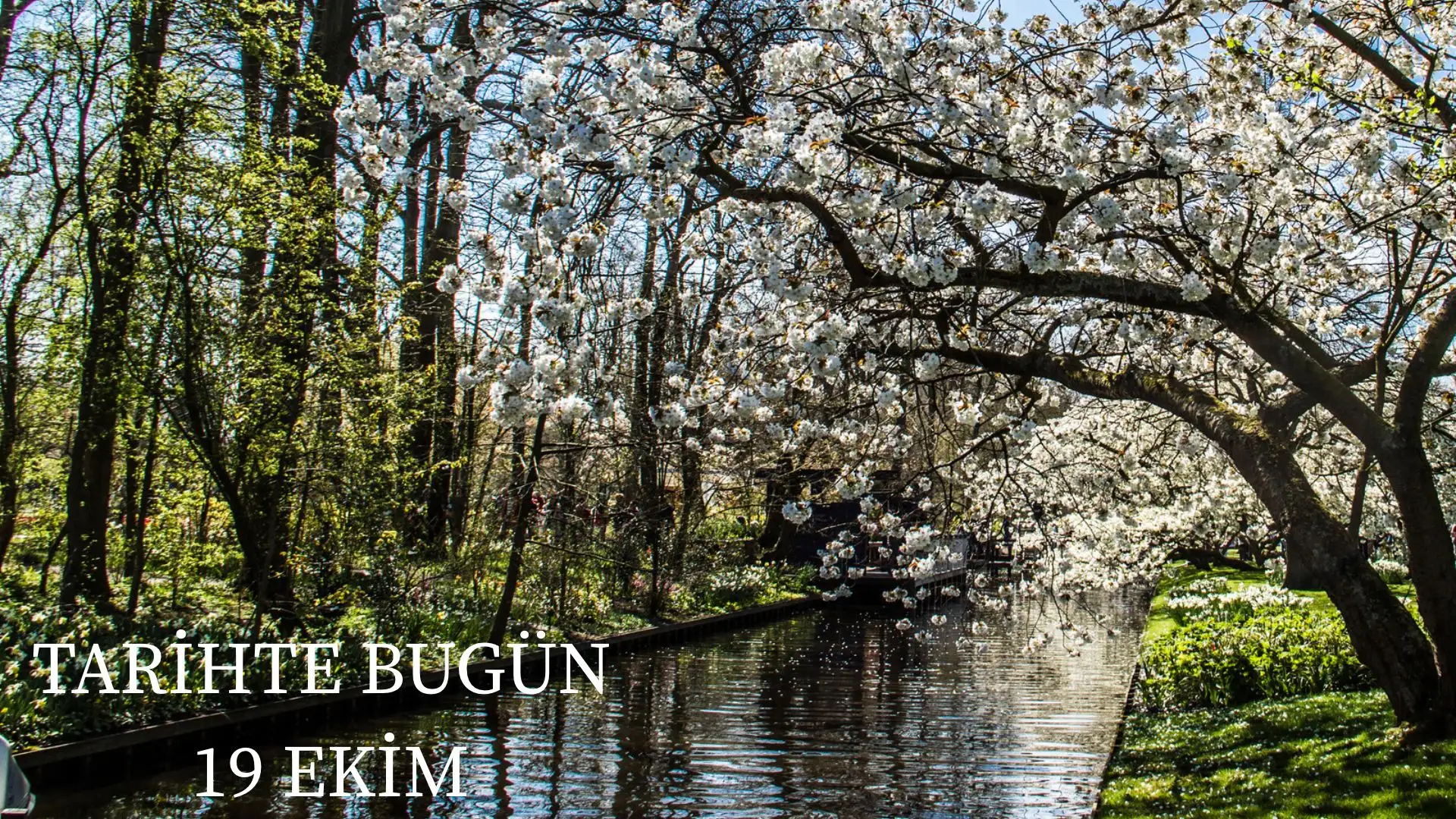 TARİHTE BUGÜN KÖŞESİ 19 EKİMDE TARİHTE NELER OLDU?