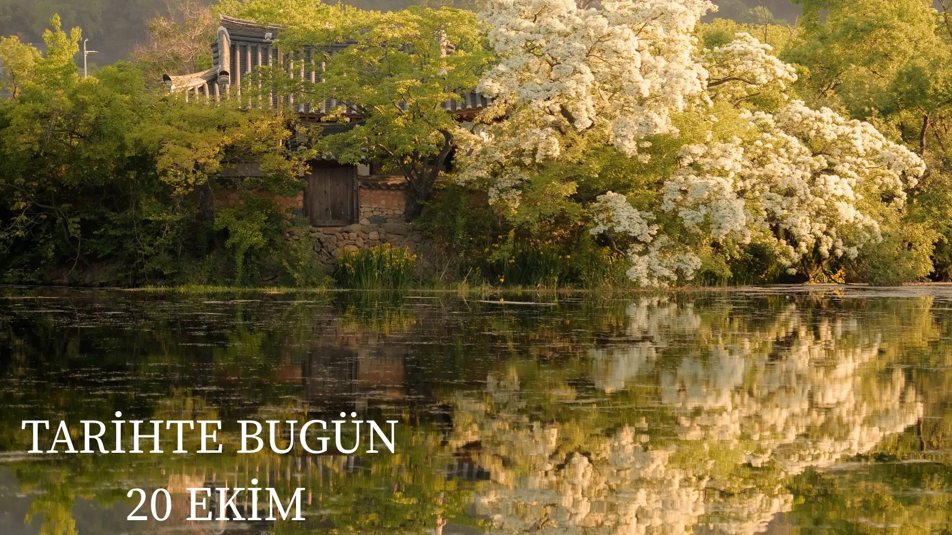 TARİHTE BUGÜN KÖŞESİ 20 EKİMDE TARİHTE NELER OLDU?