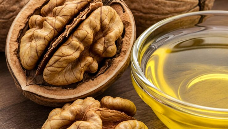 Ceviz: Beynin Dostu, Yağıyla Sağlığa Katkı Sunuyor!