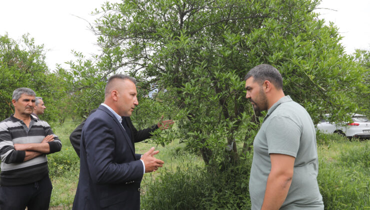 Muğla Büyükşehir Belediyesi’nden üreticiye zirai don eğitimi