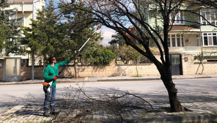 Kayseri Büyükşehir Belediyesi’nden peyzaj çalışmaları