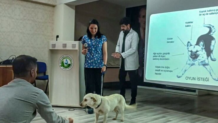 Van Büyükşehir Belediyesi, öğrencileri sokak hayvanları hakkında bilgilendirdi