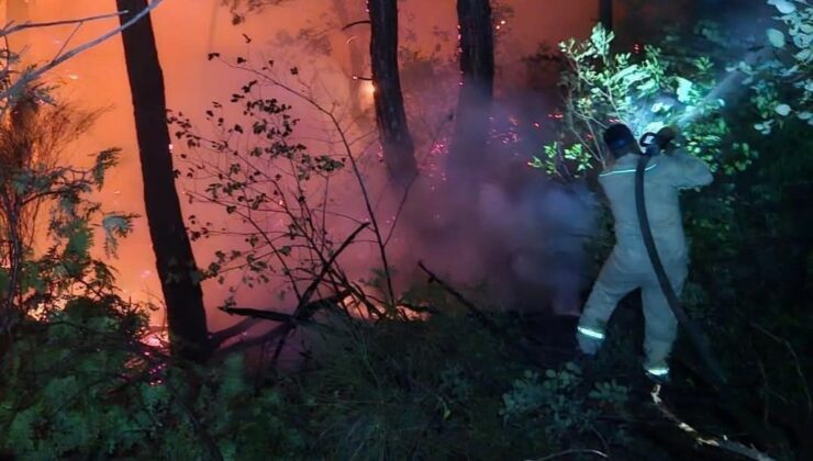 Lazikiye kırsalındaki orman yangınına Hatay’dan destek