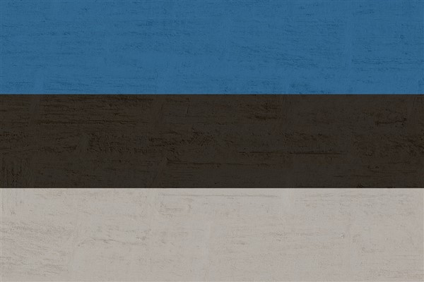 Estonya Dışişleri Bakanlığı, Rusya’nın Maslahatgüzarını çağırdı