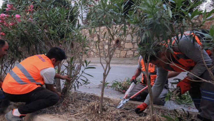Bodrum Belediyesi bayram öncesi çalışmalarını hızlandırdı