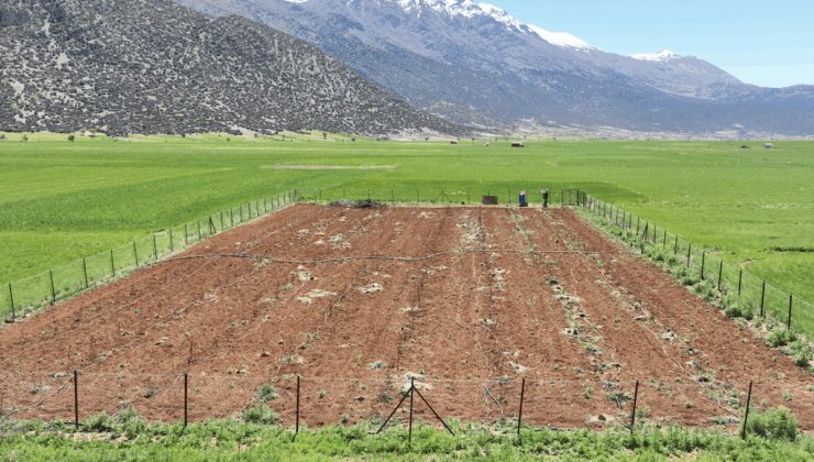 Antalya’da tarımsal sulama projeleriyle tersine göç hızlandı