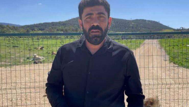 Hayvan hakları aktivisti Kaya: Hayvanların yaşam hakkı, fiilen de korunmalıdır