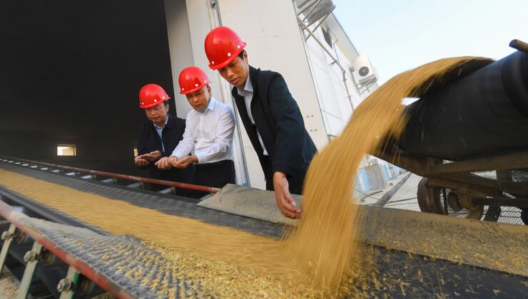 Çin’de satın alınan tahıl miktarı 345 milyon tona çıktı