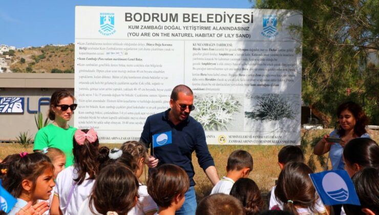 Bodrum Belediyesi’nden öğrencilere kum zambağı farkındalık etkinliği