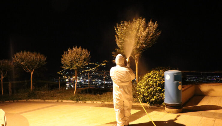 Alanya Belediyesi’nden yeşil alanlarda zirai mücadele