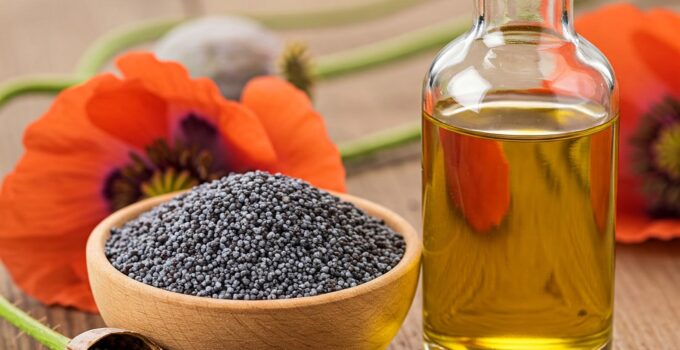 Bin Yıllık Uyku Tohumunun Gizemli Yağı: Haşhaş Yağı ve İnsan Sağlığına Sunduğu Potansiyel Faydalar