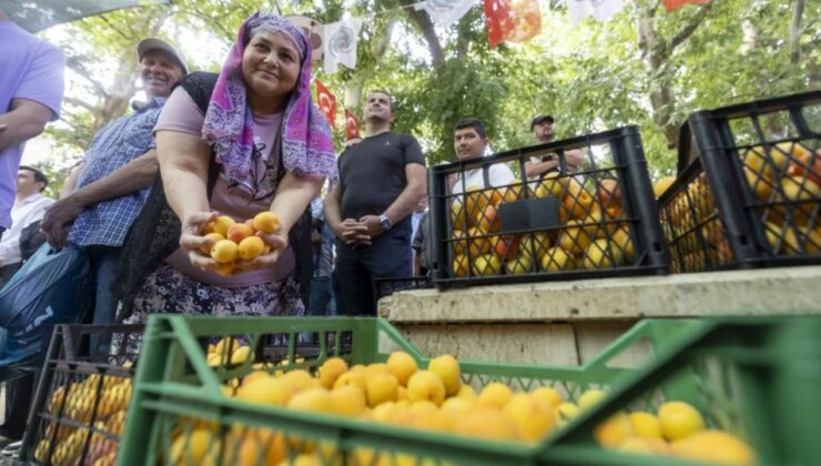 Kayısı Festivali’nde büyük coşku