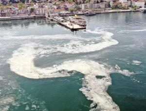 Güney Marmara’da müsilaj balıkçıları zorluyor