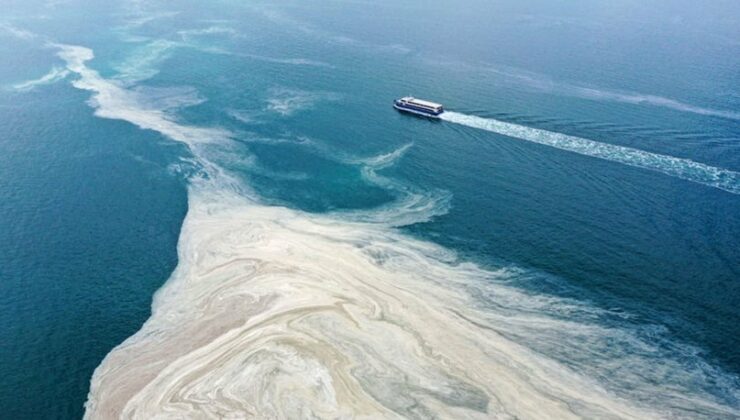Müsilaj Marmara’ya geri döndü: Saros Körfezi’ni de sardı!
