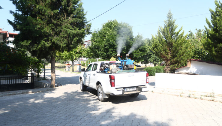 Pamukkale Belediyesi, karasinekle mücadele çalışmalarını artırdı