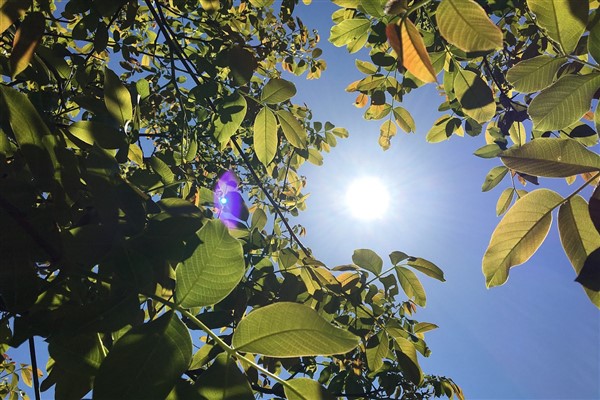 Hava sıcaklıklarının mevsim normalleri üzerinde seyredeceği tahmin ediliyor