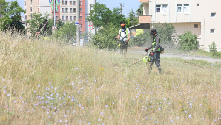 Çayırova’da boş arazilerdeki otlar biçiliyor