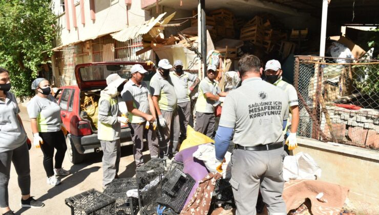 Kepez’de çöp apartman operasyonu: 20 kamyon çöp tahliye edildi