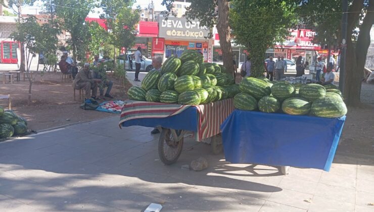 Diyarbakır karpuzu tezgahlarda yerini almaya başladı