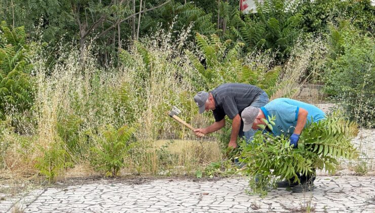 Yenişehir Açık Hava Sineması’nda restorasyon başladı