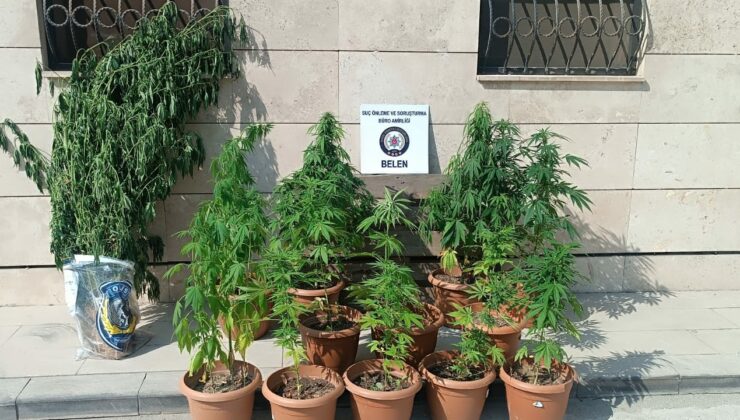 Belen’de Uyuşturucuya Geçit Yok: Bir Ayda 87 Kök Hint Keneviri ve 400 Gram Uyuşturucu Madde Ele Geçirildi