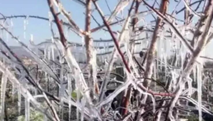 Zirai Don Komisyonu saha ziyaretlerine devam ediyor: Üretici zararı raporlanıyor