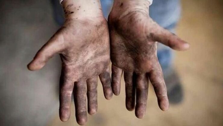 Çocuk işçiliğinde yüzde 50 azalma…