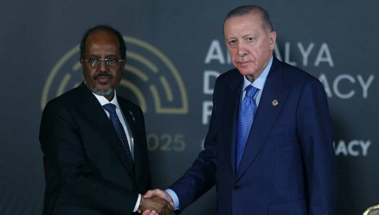 Cumhurbaşkanı Erdoğan Somali lideri Mahmud ile görüştü