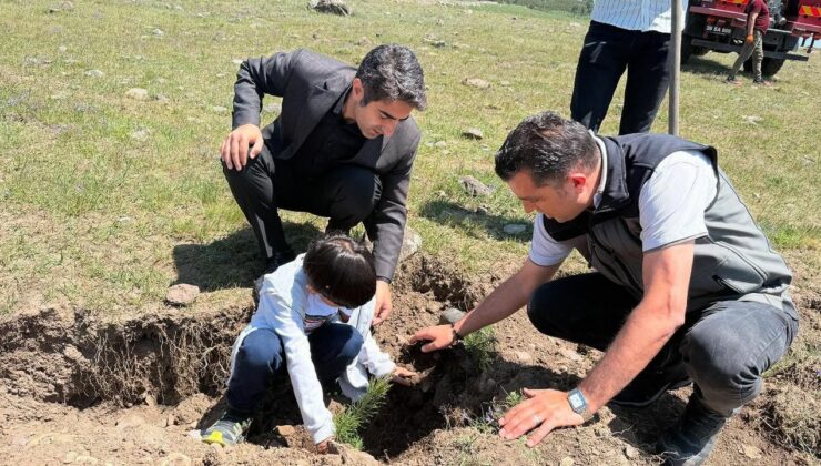 Sarıkamış’ta şehitler için dikilen fidanlar toprakla buluştu