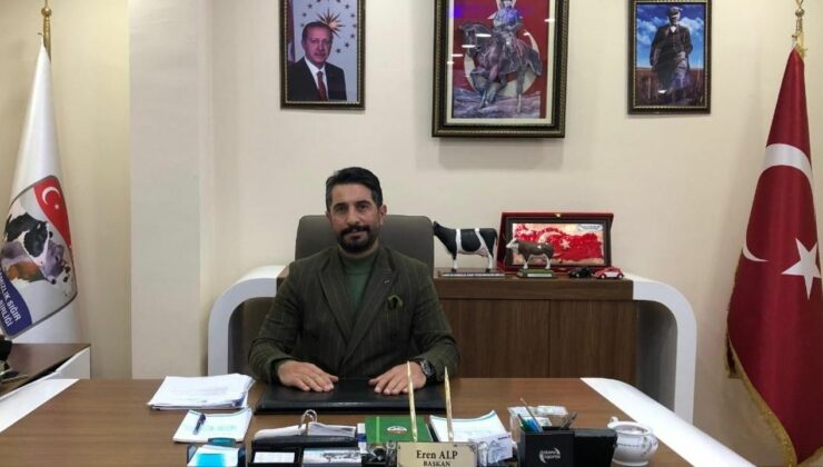 Başkan Eren Alp: Damızlık düve kesimi gelecekte hayvan varlığını tehdit edebilir
