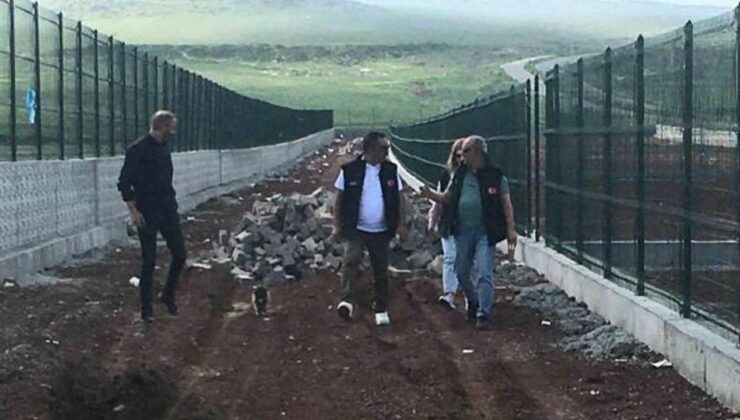 Kars’ta sokak hayvanları rehabilitasyon merkezi çalışmaları sona yaklaşıyor