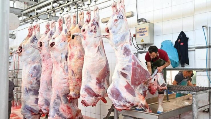 Mezbahada 250 büyükbaş kurban kesimi gerçekleştirildi