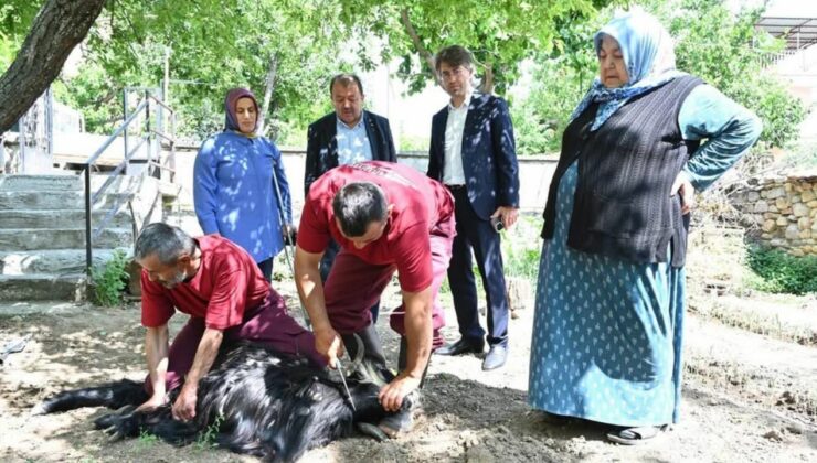 Evlere giderek tek tek kurbanları kestiler