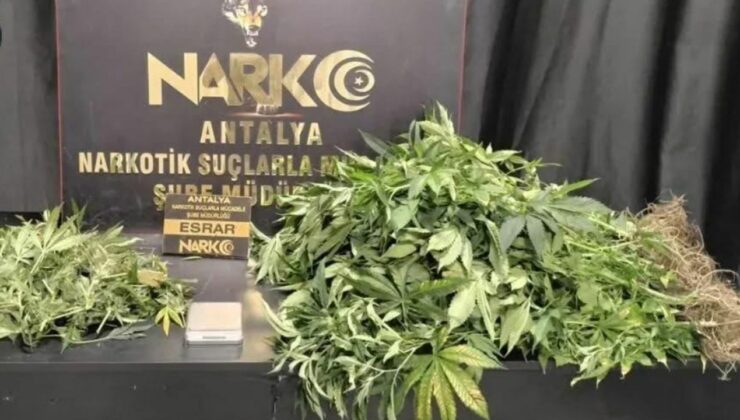 Antalya’da zehir tacirlerine darbe: 113 şüpheli gözaltında