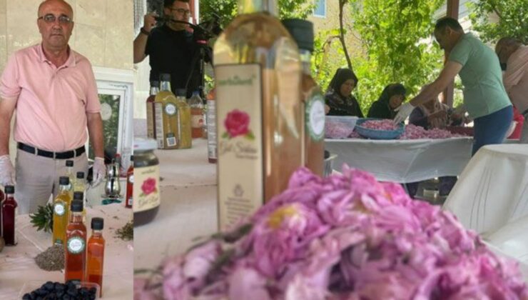 Doğada ne varsa sirke yapıyorlar