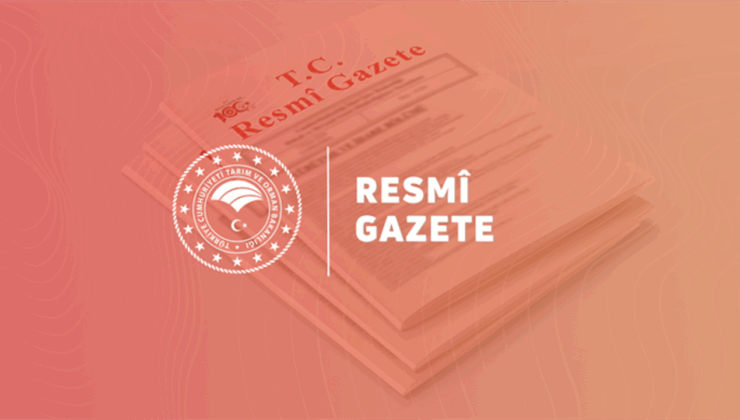 KVKK’dan kritik karar: SMS ile doğrulama kodu gönderimi kapsamında açık rıza şartı