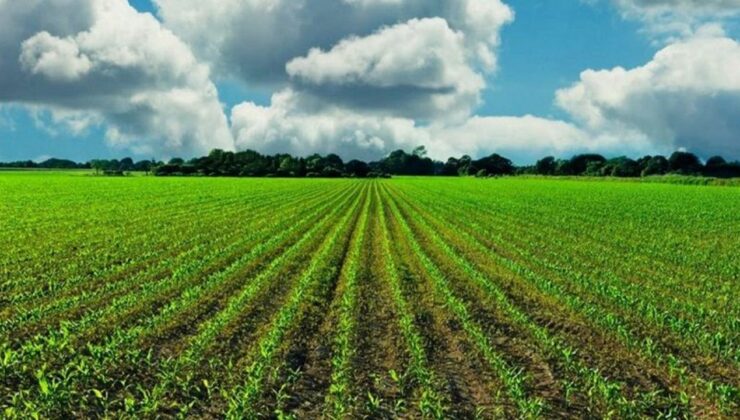 Tarım ve Kırsal Kalkınma hibeleriyle 70,3 milyon euroluk yatırım gerçekleştirildi