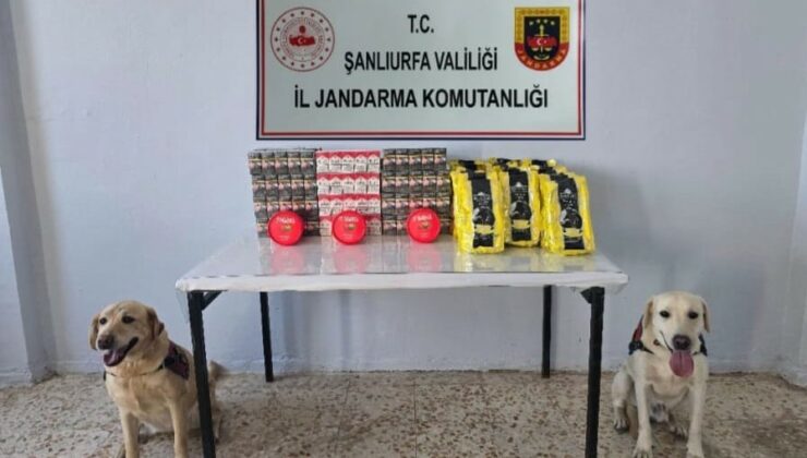 Şanlıurfa jandarmasından kaçak sigara operasyonu
