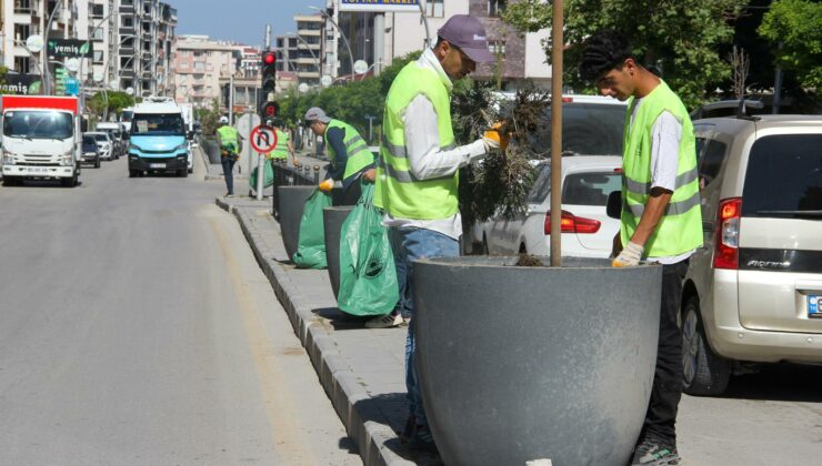 Van Büyükşehir Belediyesi’nden yeşil alanlarda yoğun mesai